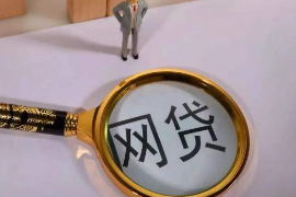 渭城贷款清欠服务